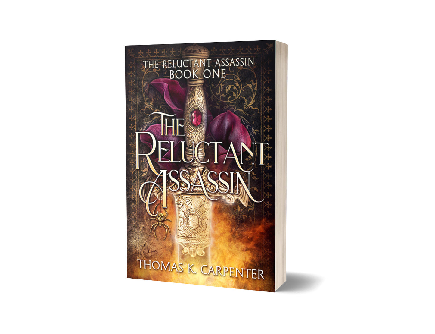 The Reluctant Assassin